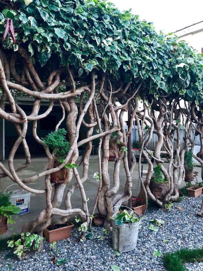 Green Garden 주그디디 외부 사진
